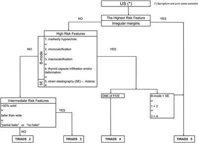 Integration of Sonoelastography Into the TIRADS Lexicon Could Influence the Classification